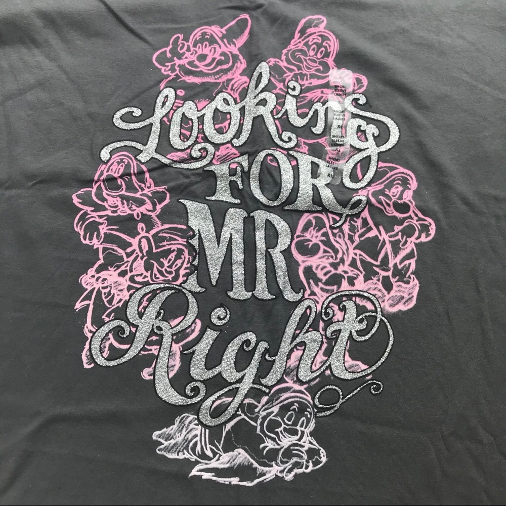 [Disney] Seven Dwarfs V-Neck Tee Shirt Size XL Womens Top Gray Pink Glitter